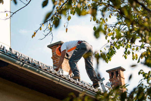 Best Roof Maintenance Services  in La Verkin, UT