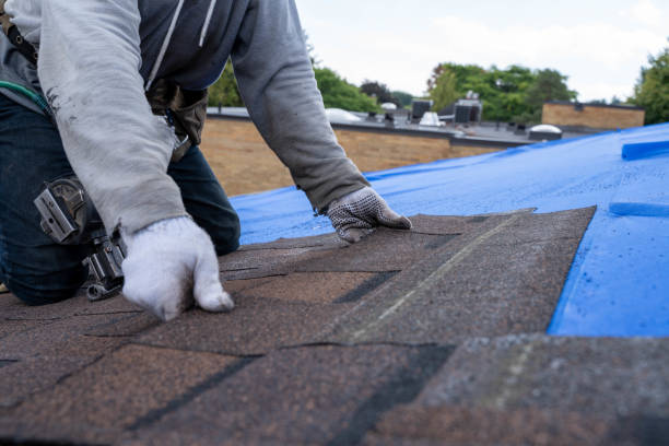 Best Commercial Roofing Services  in La Verkin, UT
