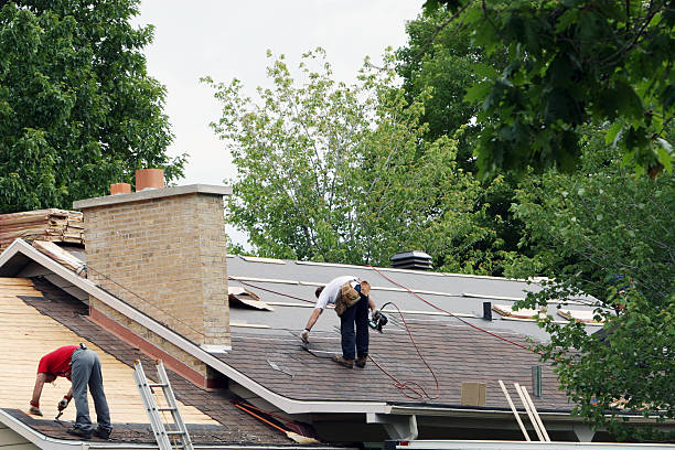 Best Roof Leak Repair  in La Verkin, UT